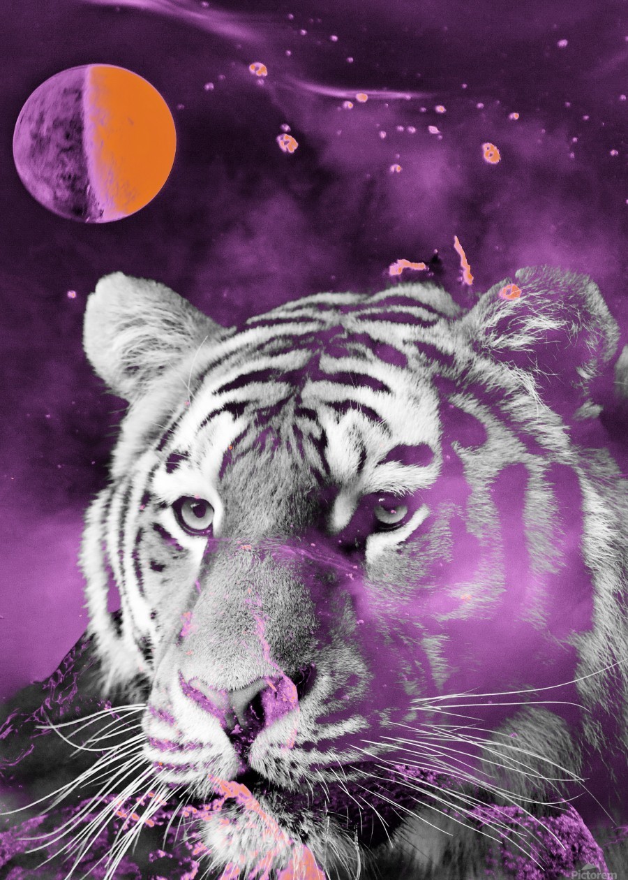 galaxy tiger tumblr