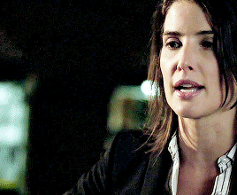 bellegold:melinda may appreciation month:     ↳ [3/3] relationships - May x Hill