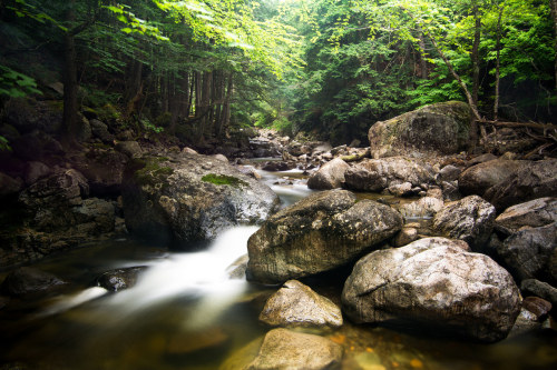 Adirondack Waterfall by Shane Garlock