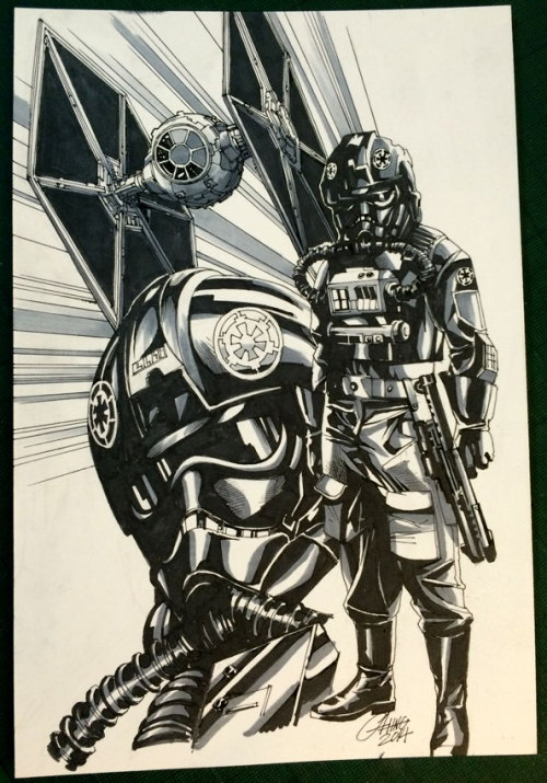 TIE pilot and fighter