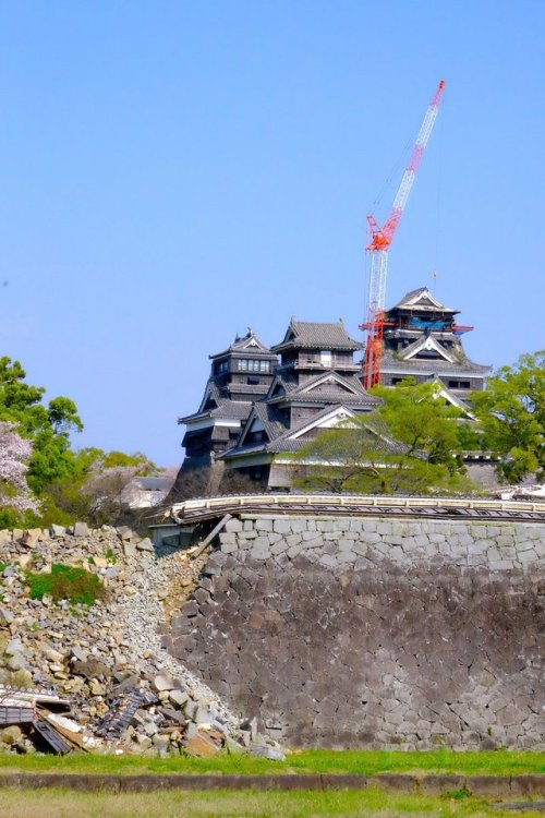 イヌイヒロツグ‏ @Celtic_Airsいよいよ、#熊本城  #大天守 #復旧工事 が始まりました。巨大クレーンにビックリ…。全国からの #復興支援 で、熊本城は蘇り