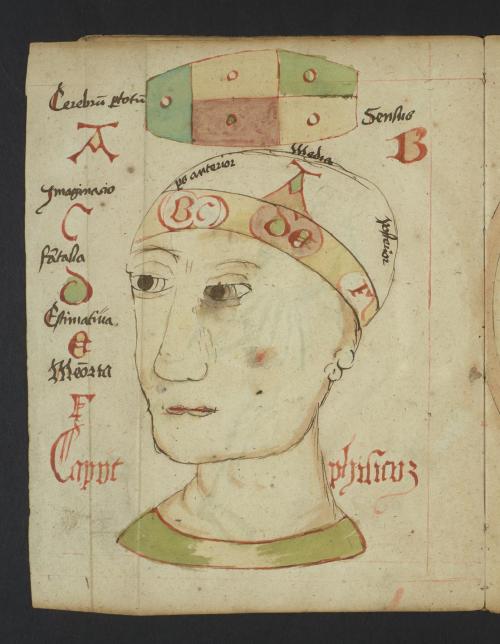 Two heads are better than one! Diagrams from LJS 429, an illustrated introduction to natural philoso