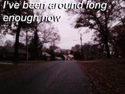 airedspace:  Swimming Pool // The Front Bottoms not my photo