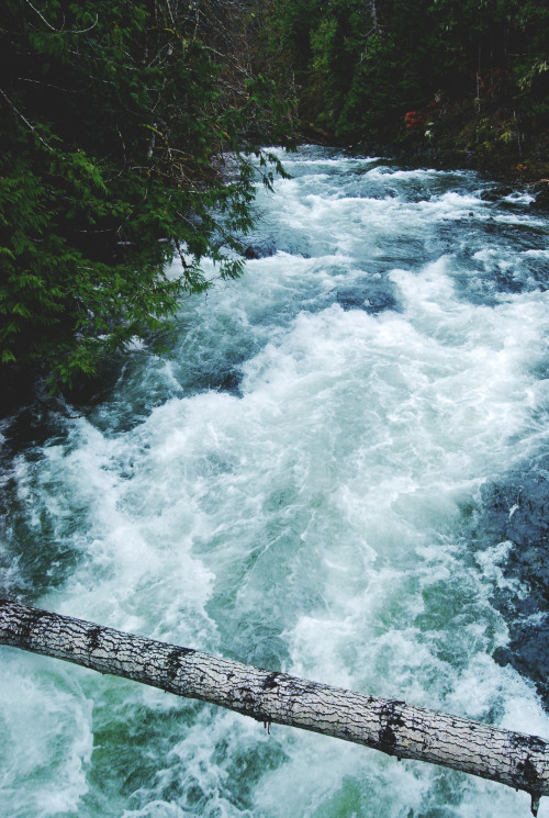 tuaari:Little Qualicum Falls, Vancouver Island