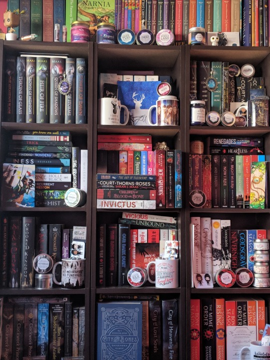 readaroundtherosie: phdbff:  readaroundtherosie:   Messy bookshelves are the only kind to have    LISTEN. This is a beautiful bookshelf but it ain’t messy. It’s beautifully and carefully arranged.  Thank you for noticing! It just feels messy to me
