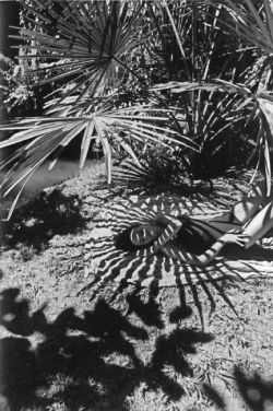 move-and-still: ferdinando scianna