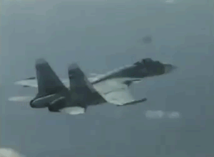 theworldairforce:  SU-37 Cobra Manoeuvre - Pilot Actions As Requested By: jeganace