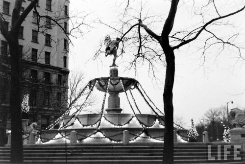 Fountain with Christmas decorations(Leonard McCombe. 1962)