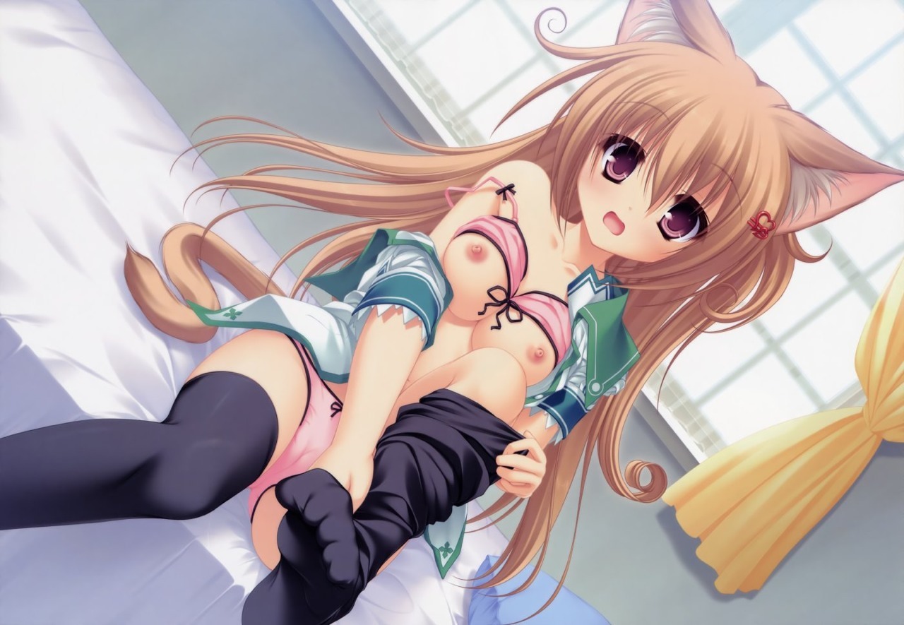 Sexy catgirls and stuff