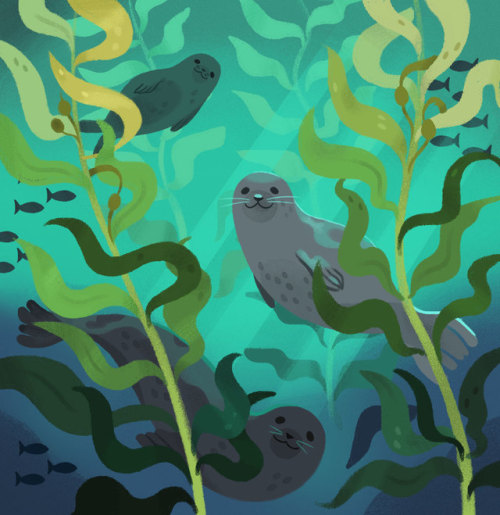 nicollemakesthings: I’ve been watching a lot of Youtube videos of seals lately! 