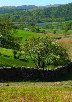 fuckitandmovetobritain:  Langdale, Lake District,