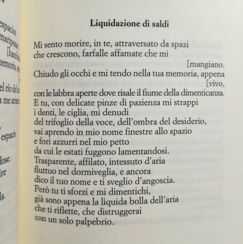 Liquidazione Di Saldi - Cortazar
