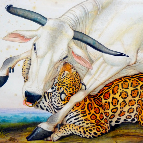 putarata-deactivated20151114: Walton Ford - Chingado (detail)  Watercolor, gouache, i