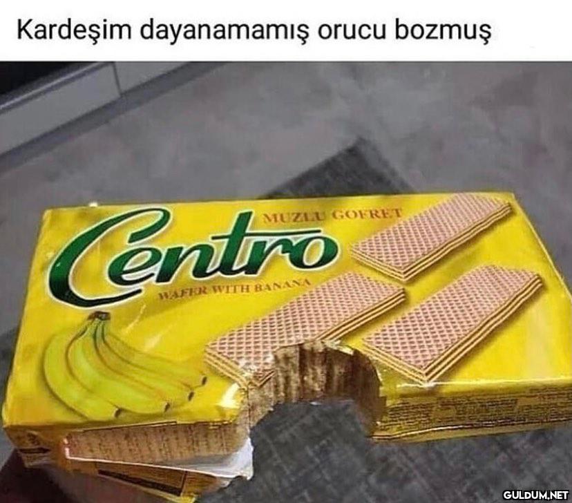 Kardeş tazmanya...