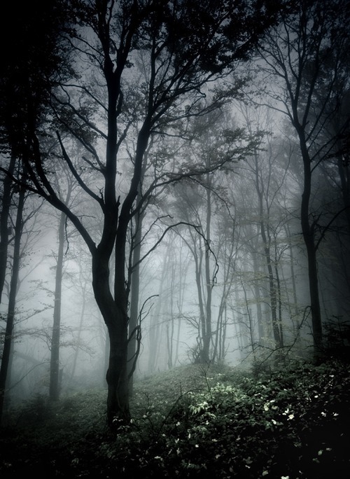 Among the dead