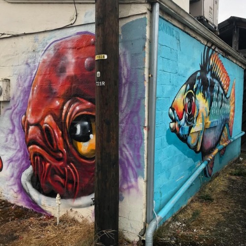 Mural by @baynegardner  #shotoniphone #admiralackbar #ackbarworkshop #fish  #mural #art #urban #art 