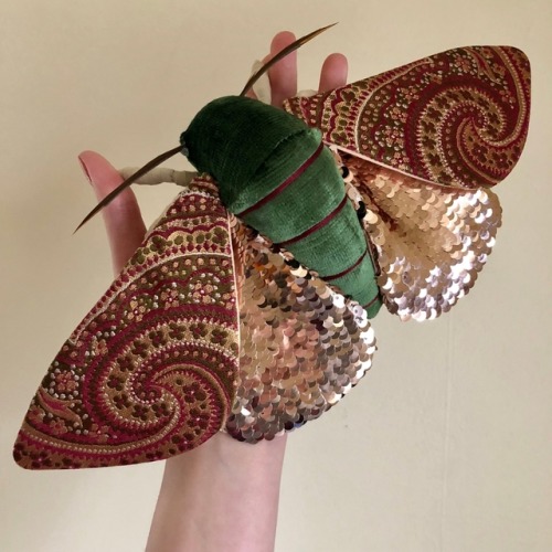 chewybitart: devlynblaise: sosuperawesome: Moths / Bees / BatsMolly Burgess on EtsySee our #Etsy or 