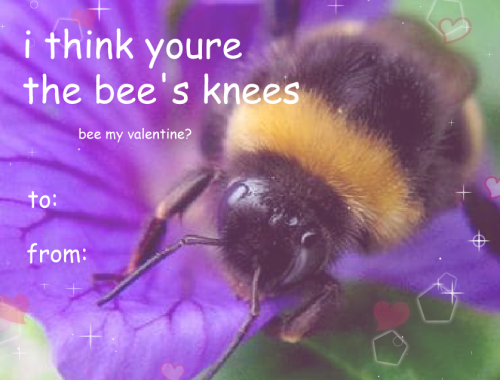 sushidragon:here are some bee valentine cards, bc i was tired of just seeing only “Bee Mine”