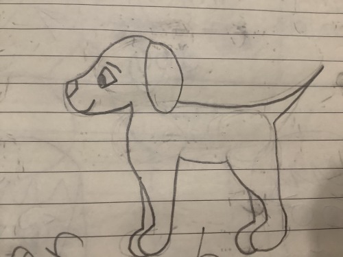 Dog, Just A Random Doggo