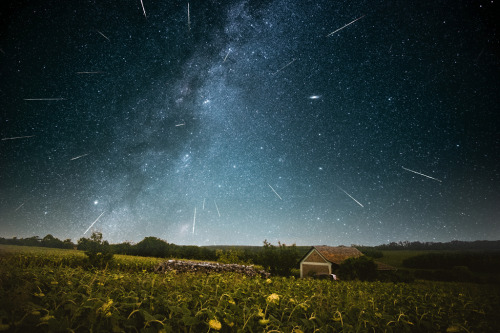 just&ndash;space:  Three Perseid Nights : Frames from a camera that spent three moonless nights under the stars create this composite night skyscape. They were recorded during August 11-13 while planet Earth was sweeping through the dusty trail of comet