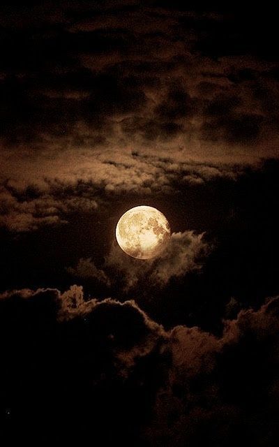 omg-sweetunlikelycollector-me:  brookbooh:  Full moon  @possit-de-tenebris 