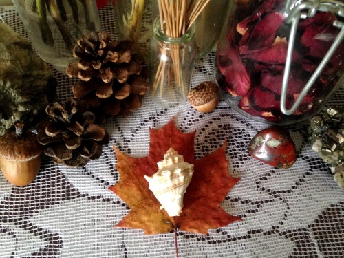 floralwaterwitch:I had such an inspiring autumnal equinox and I hope that you all did too! This alta