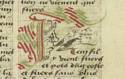 LJS215, Hello There! Faces added to ribbon or cadel initials on fols. 74r, 82v, and 101r.We’ll have 