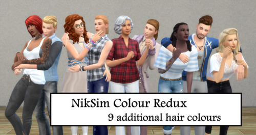 lost-my-plumbbob-in-your-pond: Introducing my new - slimmed down - palette! NikSim Colour Redux