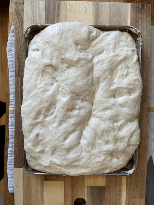 @anonymous-red-506 You Asked Me About My Sandwich And I Made A Whole Post In Response To Your Ask And