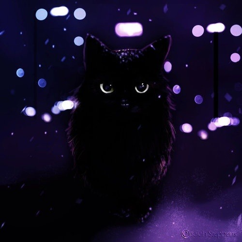 stardust80:｡^◕‿◕^｡ | via Tumblr auf We Heart It. weheartit.com/entry/76317258