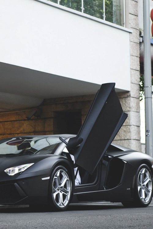 Luxury Kingdom