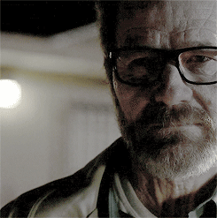 awakingdreaming:  From the Beginning. To the End. Walter and Jesse. You will be missed. 