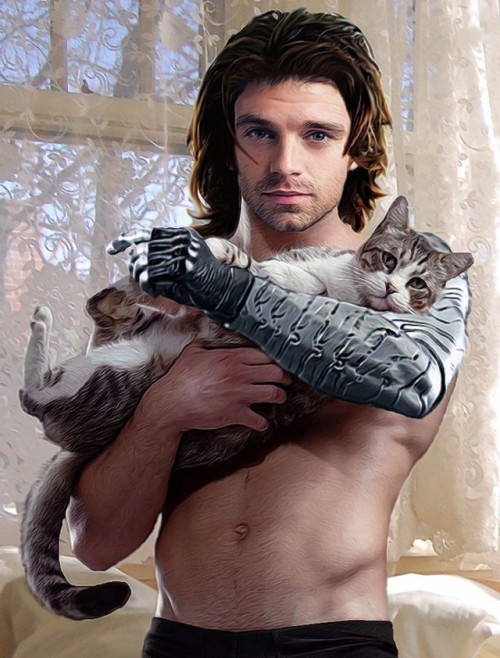 drowningbydegrees:Let’s be honest. Bucky + Cats is what’s really important here. 