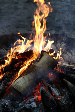 brutalgeneration:  Campfire by pmschlenker