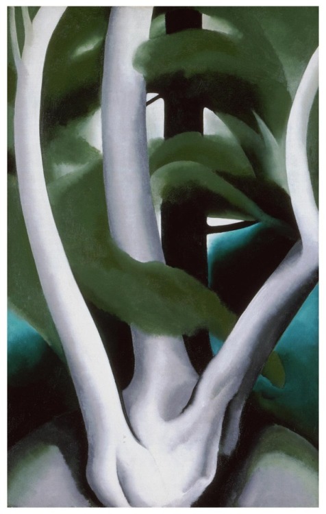 Georgia O’Keeffe (American, 1887-1986), Birch and Pine Tree No. 1, 1925. Oil on canvas.