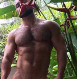 Je Ne Suis Pas François Sagat