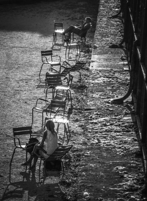 forthepleasureofmylife:Coucher de SoleilJardin des Tuileries ParisPhoto: Dieter Krehbiel