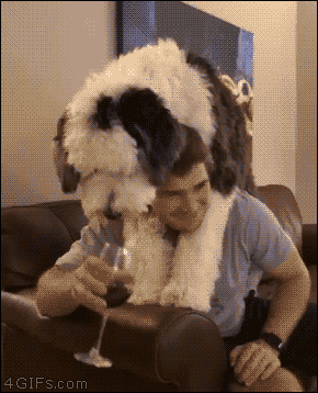 tumblr_ovoe2f1OPn1tlb56zo1_400.gifv
