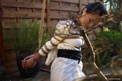 thevertigonetwork:  Kinbaku Nawaski Kanna