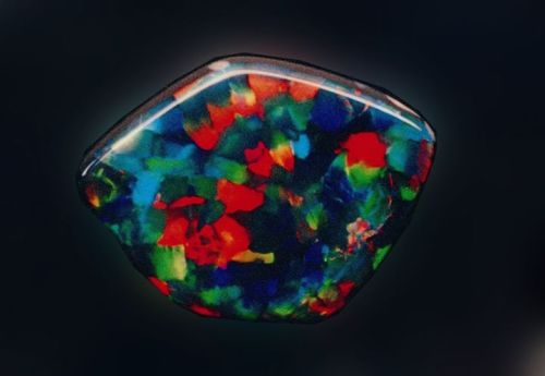 thegryphonsnest:Rare Harlequin Black Opal