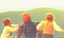galadriels:“FOR THE SHIRE!”