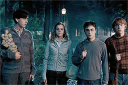 porpentinygoldstein:happy birthday, neville longbottom (30.07.1980)“You were right, never better. I 