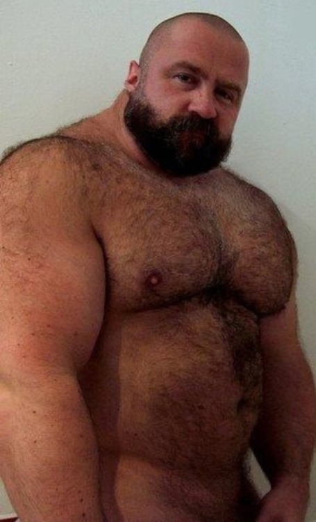 Sex slavebear pictures