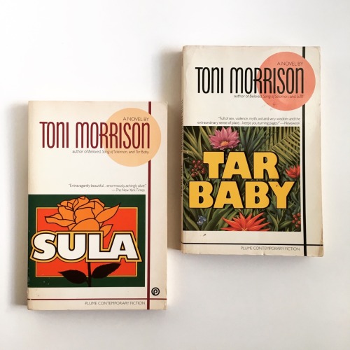 macrolit: Sula and Tar Baby, Toni Morrison