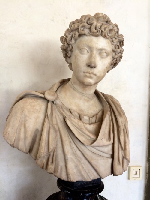 riboflavian:BUST OF A YOUNG MARCUS AURELIUS