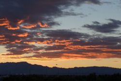 Flying into Vegas.  Sunday’s sunset.