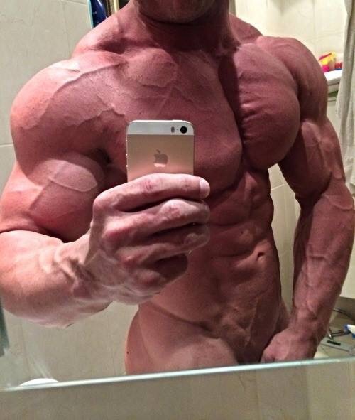 muscleroidaddict:  best selfie ever 