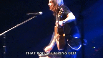 Apparently Today, August 20th, Is National Honeybee Day.