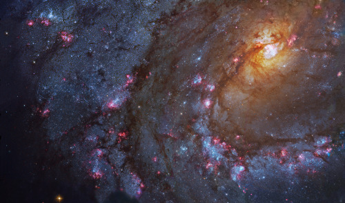 roxxemboxxem:  The beauty of space never ceases to ignite the imagination. 