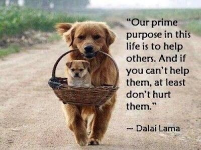 remainblessed:  Get your daily dose of encouragement!!! 